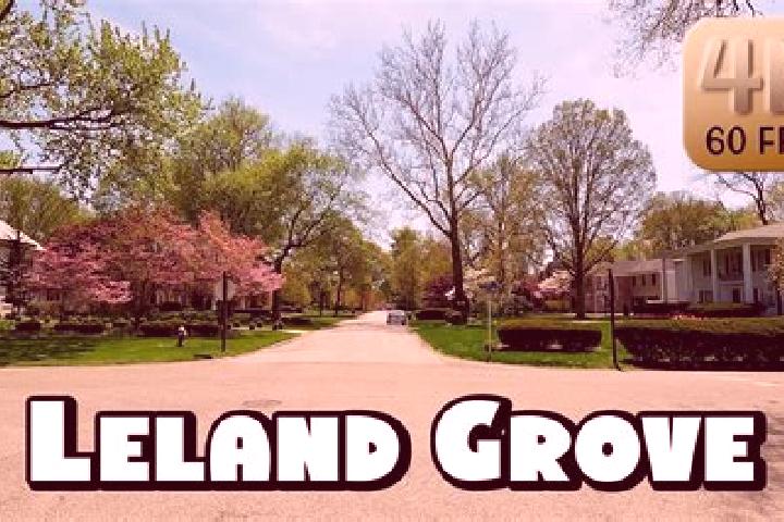 Evelyn, 28 — Escort in Leland Grove, United States