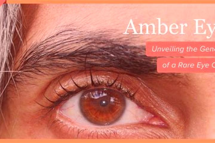Evelyn, 29, a black amber-eyed caribbean companion based in Yiminhe. Offering BDSM, Travel Companion, Couples, Massage. Available for incall and outcall, day...