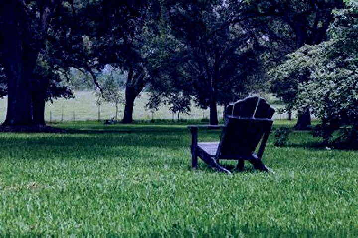 Evelyn, 29 — Escort in Grand Coteau, United States