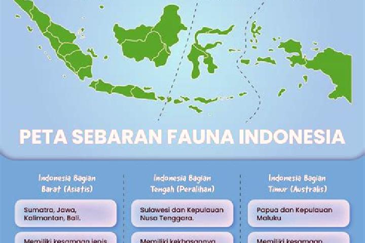 Evelyn, 29 — Escort in Gununganyartambak Tengah, Indonesia