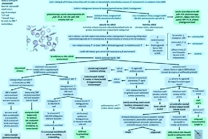 Evelyn, 29 — Escort in Humele, Romania