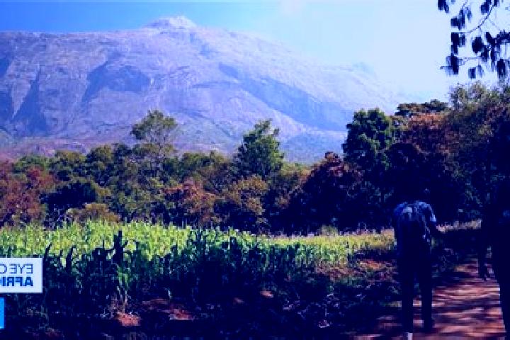 Evelyn, 29 — Escort in Mulanje, Malawi