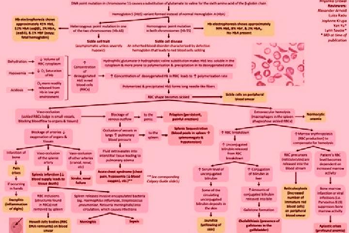 Evelyn, 29 — Escort in Parisi, Brazil