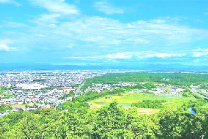 Evelyn, 29 — Escort in Pippu, Japan
