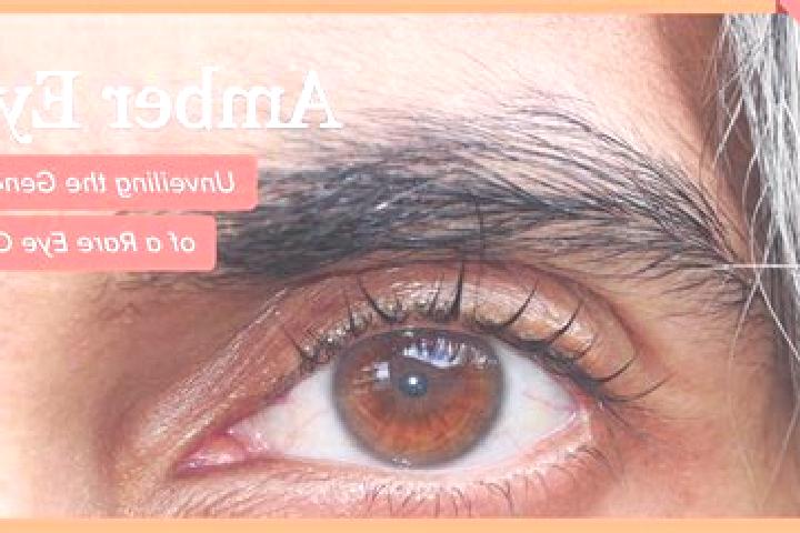 Evelyn, 30, a red amber-eyed ebony companion based in Serebryanka. Offering 69, Striptease, Tantra. Available for incall and outcall, overnight bookings avai...