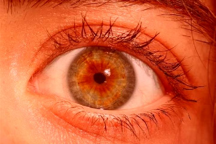 Evelyn, 30, a red hazel-eyed middle eastern companion based in Pak Thum. Offering Overnight, 69, Fetish. Available for incall and outcall, overnight bookings...