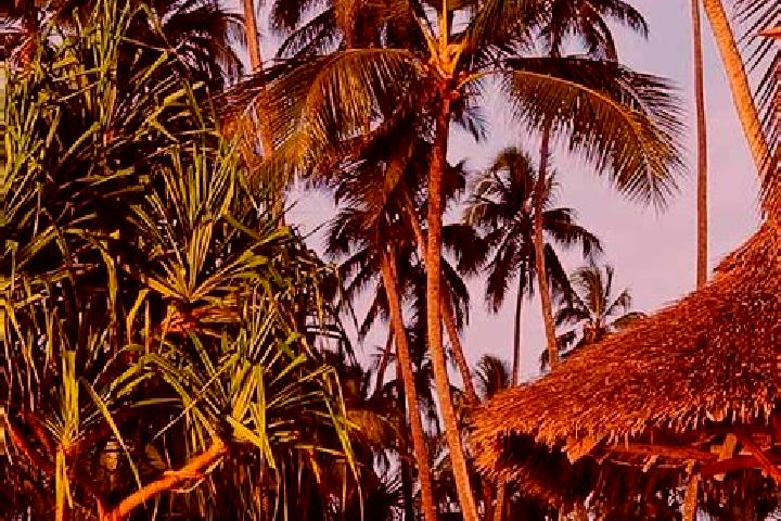 Evelyn, 30 — Escort in Misasi, Tanzania