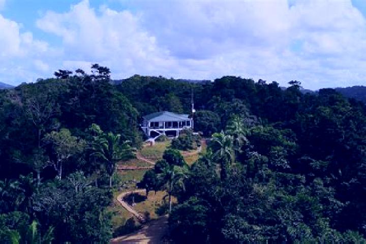 Evelyn, 30 — Escort in Silk Grass, Belize