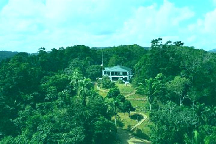 Evelyn, 31 — Escort in Silk Grass, Belize