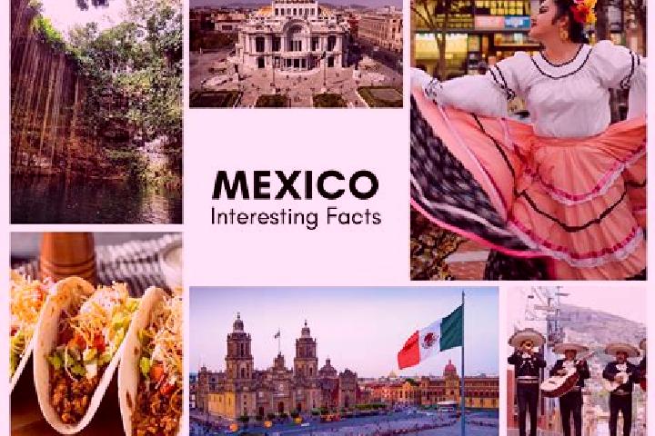 Evelyn, 31 — Escort in Temimilco, Mexico