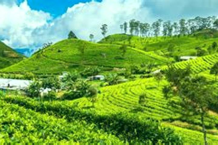 Evelyn, 32 — Escort in Haputale, Sri Lanka