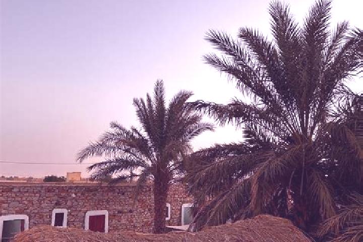 Evelyn, 32 — Escort in Tembedgha, Mauritania