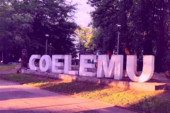 Evelyn, 33 — Escort in Coelemu, Chile