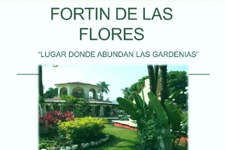 Evelyn, 33 — Escort in Fortin de las Flores, Mexico