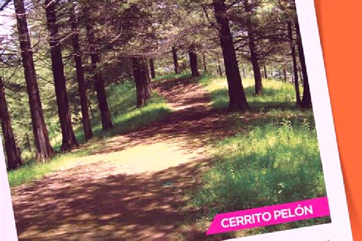 Evelyn, 33 — Escort in Paracho de Verduzco, Mexico