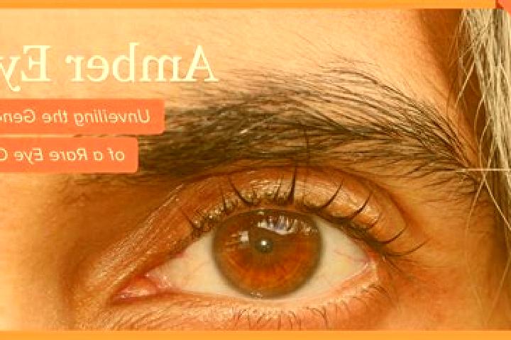 Evelyn, 34, a red amber-eyed caucasian companion based in Hilst. Offering Couples, Erotic Massage, Striptease. Available for incall and outcall, day and even...