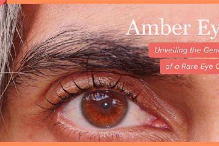 Evelyn, 34, a red amber-eyed indian companion based in Spornoye. Offering A-Level, CIM, Couples. Available for incall and outcall, overnight bookings available.