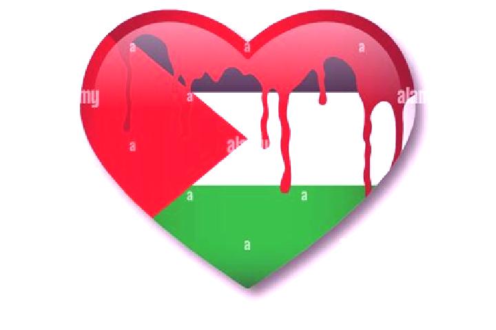 Evelyn, 34 — Escort in Al Fasayil, Palestine