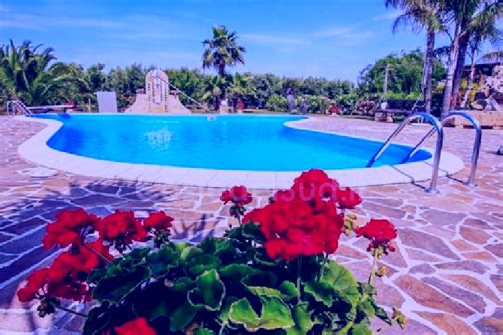 Evelyn, 34 — Escort in Felline, Italy