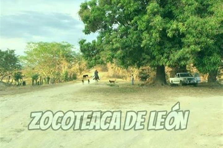 Evelyn, 34 — Escort in Zocoteaca de Leon, Mexico