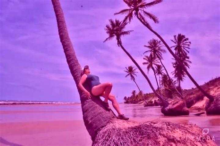Evelyn, 35 — Escort in Caetanos, Brazil