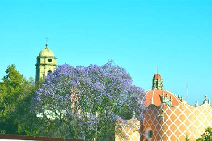 Evelyn, 35 — Escort in Tlahuac, Mexico