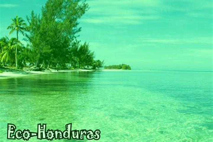 Evelyn, 35 — Escort in Wawina, Honduras