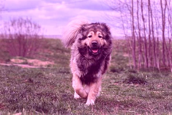 Evelyn, 36, a black grey-eyed caucasian companion based in Pa Bon. Offering A-Level, Striptease, Travel Companion. Available for incall and outcall, day and ...
