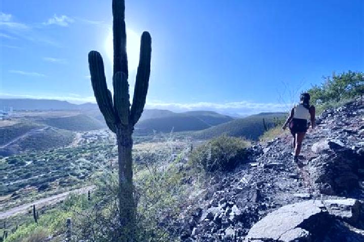 Evelyn, 36 — Escort in Cerro de Piedra, Mexico