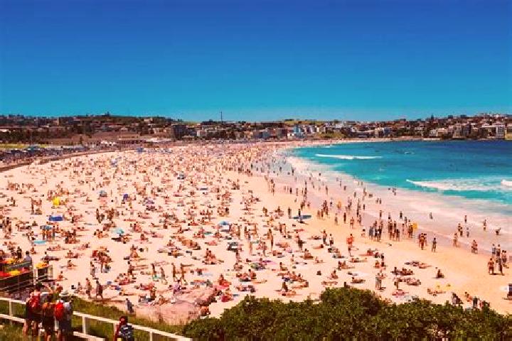 Evelyn, 37, a brunette amber-eyed caribbean companion based in Bondi Beach. Offering Domination, Girlfriend Experience, OWO, BDSM. Available for incall and o...