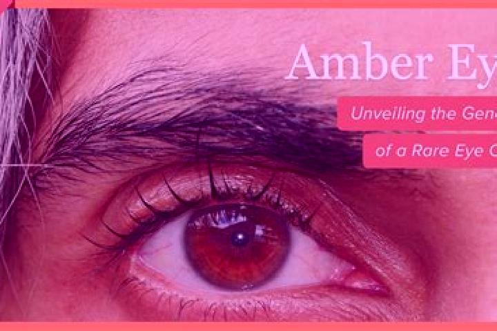 Evelyn, 37, a red amber-eyed caribbean companion based in Baleagung. Offering GFE, Roleplay, CIM. Available for incall and outcall, overnight bookings availa...