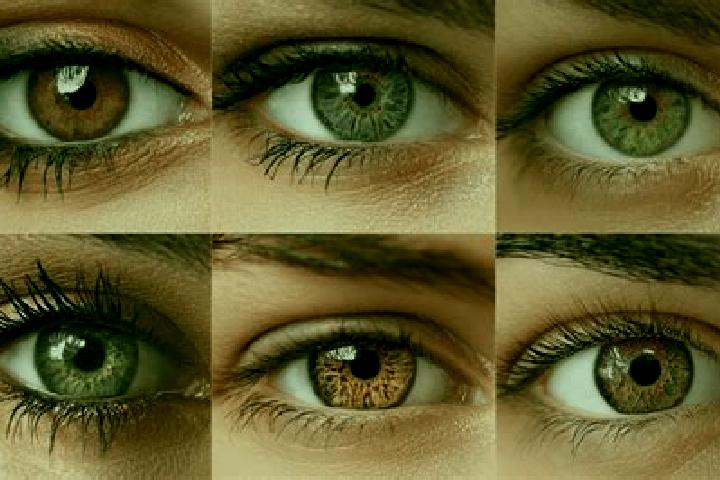 Evelyn, 37, a red hazel-eyed caucasian companion based in Oberlienz. Offering Party Girl, Striptease, Duos, Massage. Available for incall and outcall, overni...