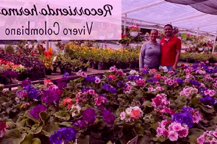 Evelyn, 37 — Escort in Alto del Moralito, Mexico