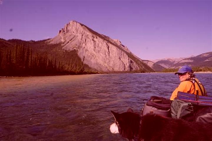 Evelyn, 37 — Escort in Conservation, Canada