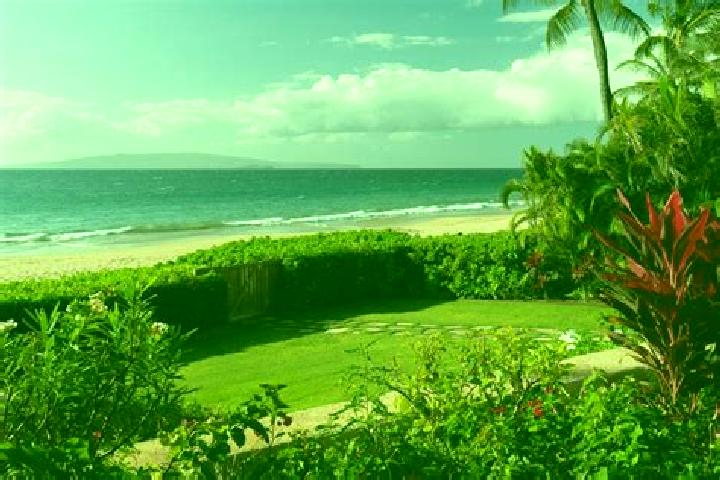 Evelyn, 37 — Escort in Hawaiian Acres, United States