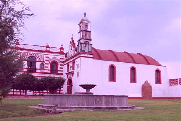 Evelyn, 37 — Escort in San Bartolome del Pino, Mexico