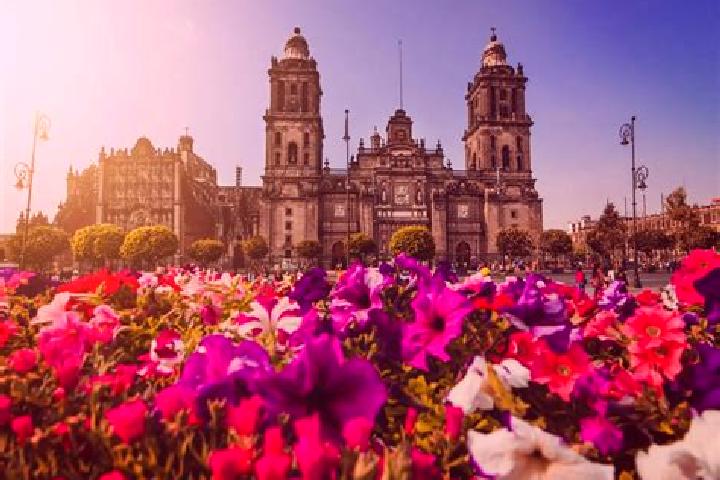 Evelyn, 38 — Escort in Ciudad Guerrero, Mexico