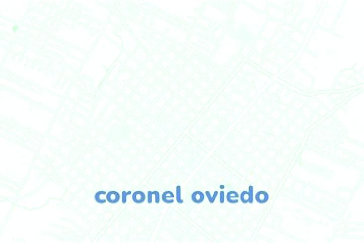 Evelyn, 38 — Escort in Coronel Oviedo, Paraguay