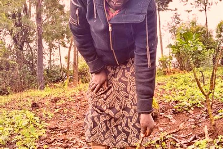 Evelyn, 38 — Escort in Mairo Inya, Kenya