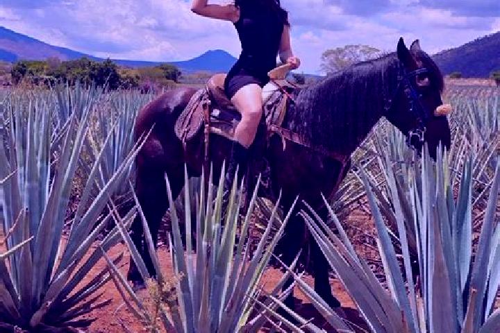 Evelyn, 38 — Escort in San Julian, Mexico