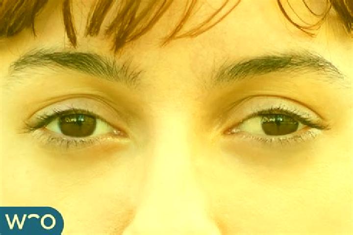 Evelyn, 39, a black blue-eyed indian companion based in Tagerwilen. Offering CIM, Fetish, Deep French Kissing, A-Level. Available for incall and outcall, ove...