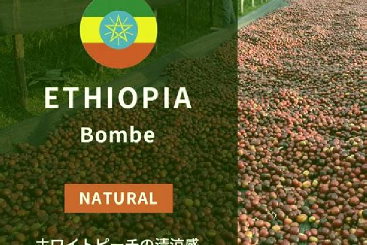 Evelyn, 39 — Escort in Bombe, Ethiopia