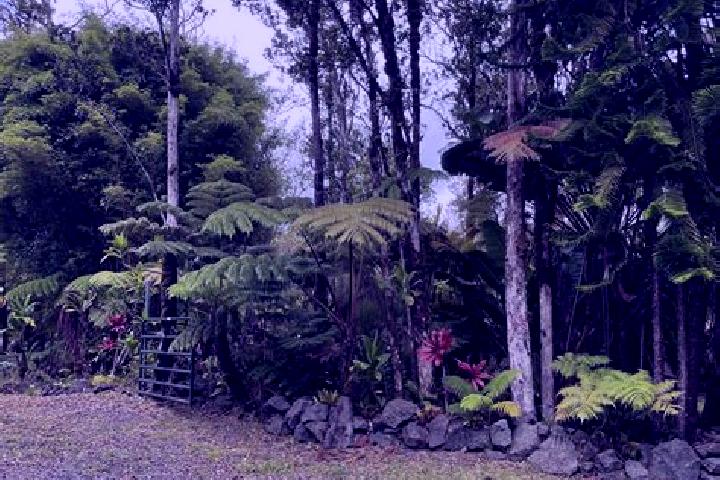Evelyn, 39 — Escort in Fern Forest, United States