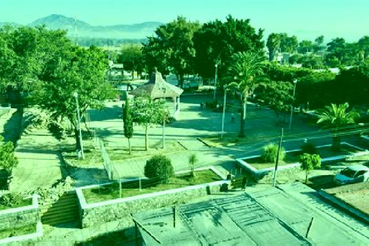 Evelyn, 39 — Escort in La Loma de los Negritos, Mexico