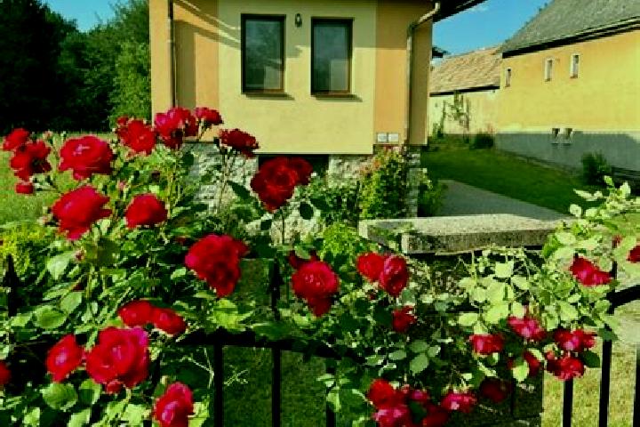 Evelyn, 39 — Escort in Liptovske Sliace, Slovakia