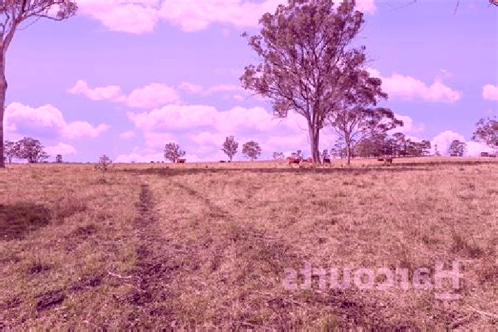 Evelyn, 39 — Escort in Pheasants Nest, Australia
