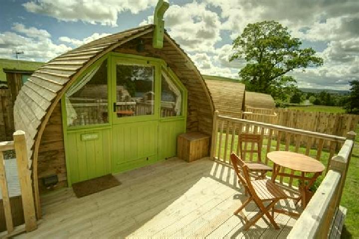 Grace, 20 — Escort in Humbleton, United Kingdom