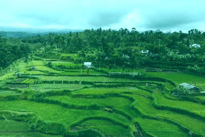 Grace, 20 — Escort in Tetebatu, Indonesia