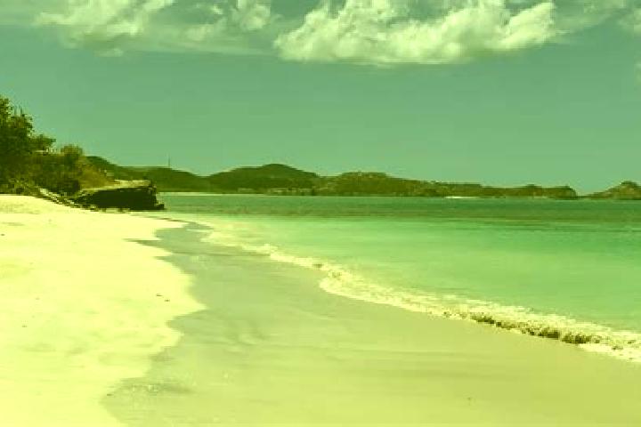 Grace, 21 — Escort in Codrington, Antigua and Barbuda