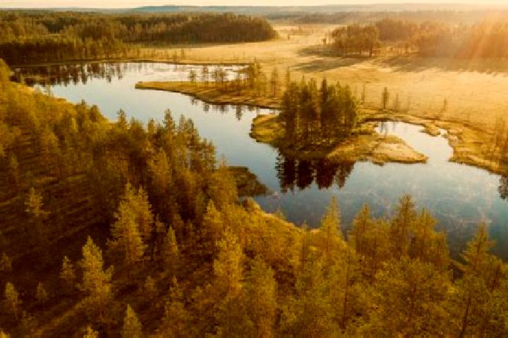 Grace, 21 — Escort in Kiuruvesi, Finland